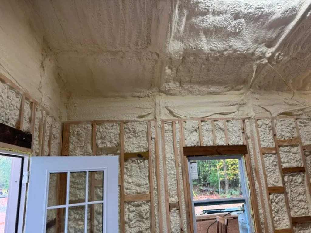 image6 (1)